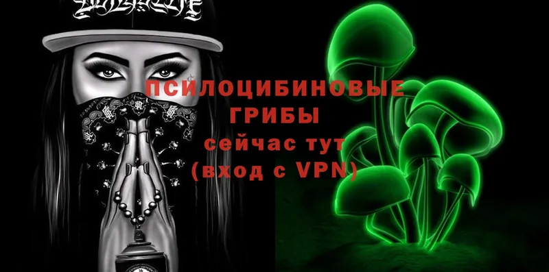 Псилоцибиновые грибы прущие грибы  darknet какой сайт  Балтийск  где купить  